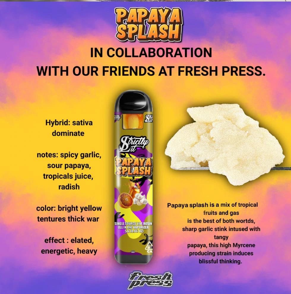 Papaya Splash promotional artwork