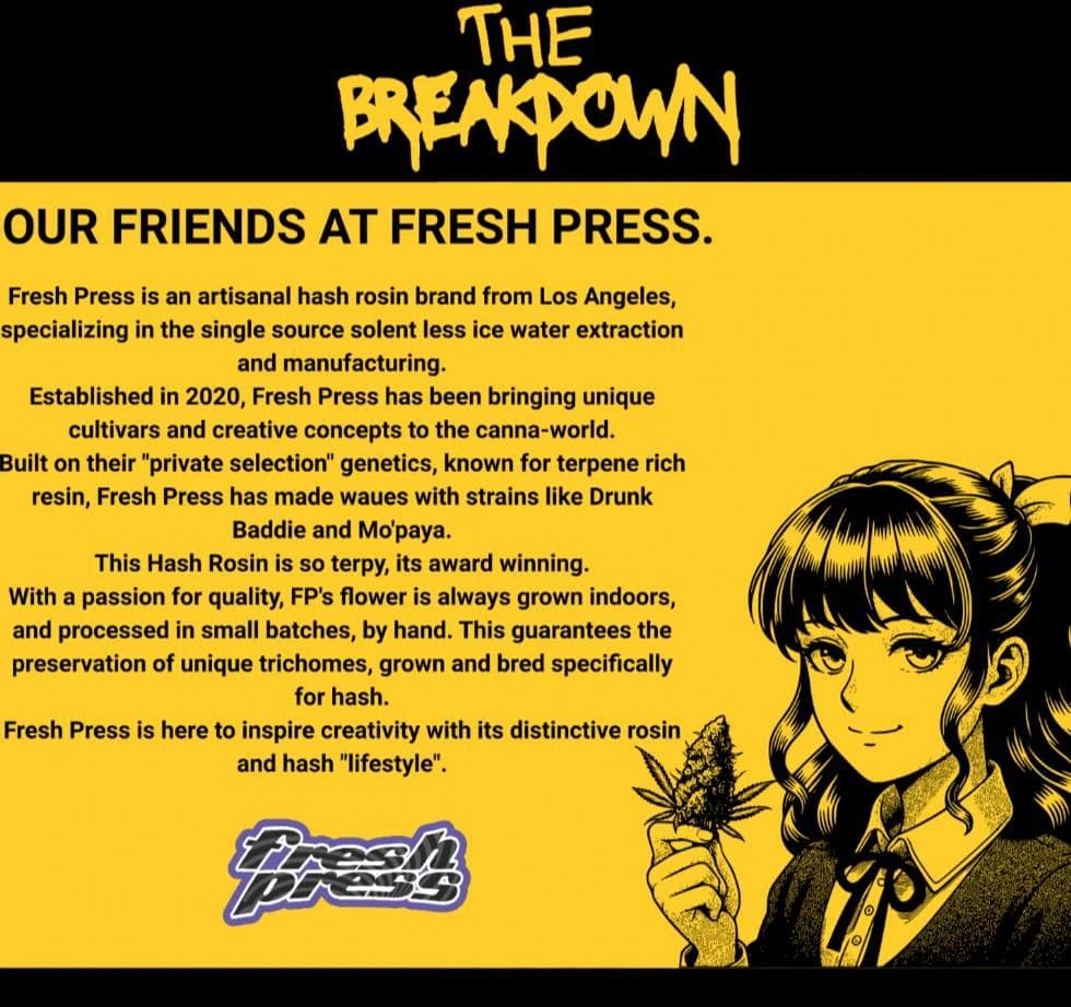 The Breakdown — Fresh Press collaboration artwork